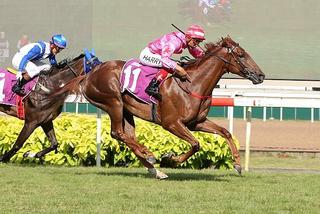 Karaka graduate I'm Incredible winning Sunday’s S$175,000 Committee’s Prize (1600m). Photo: Singapore Turf Club
